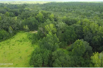 Xxx SW County Road 379, Bristol, FL 32321 - Photo 6