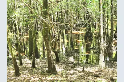 Xxx SW County Road 379, Bristol, FL 32321 - Photo 16
