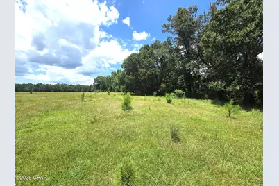 Xxx SW County Road 379, Bristol, FL 32321 - Photo 1