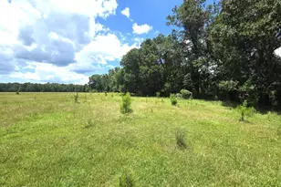 Xxx SW County Road 379, Bristol, FL 32321 - Photo 1