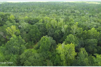 Xxx SW County Road 379, Bristol, FL 32321 - Photo 4