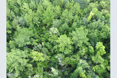 Xxx SW County Road 379, Bristol, FL 32321 - Photo 12