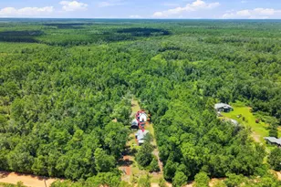 4586 Porter Pond Rd, Chipley, FL 32428 - Photo 28