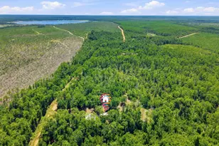 4586 Porter Pond Rd, Chipley, FL 32428 - Photo 30