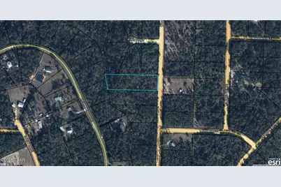 0 Wood Avenue, Alford, FL 32420 - Photo 2