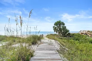 151 Sapodilla Ln, Port Saint Joe, FL 32456 - Photo 10