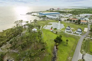 256 Dockside Dr, Port Saint Joe, FL 32456 - Photo 52