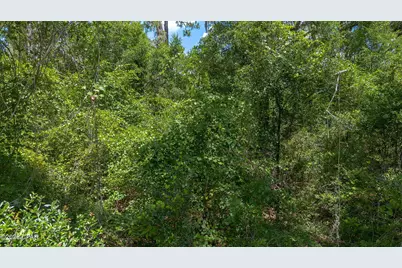 0 Ll Wallace Road, Tallahassee, FL 32305 - Photo 10