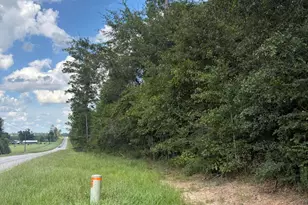 0 Kynesville Rd, Cottondale, FL 32431 - Photo 1