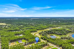 14804 Bream Pond Dr, Panama City, FL 32409 - Photo 56
