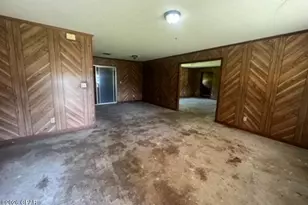 2231 Porter Ave, Grand Ridge, FL 32442 - Photo 4