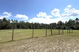5845 Timacuan Trail, Greenwood, FL 32443 - Photo 70