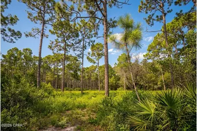 109 Via Italia, Panama City Beach, FL 32407 - Photo 4