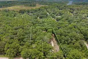 2494 Comet Ln, Bonifay, FL 32425 - Photo 2