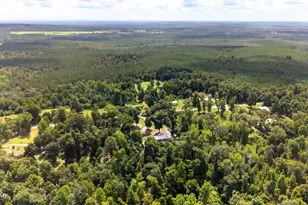 2246 Orange Hill Rd, Chipley, FL 32428 - Photo 38