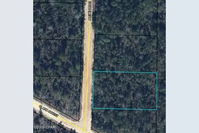 1225 Alene Drive, Alford, FL 32420 - Photo 4
