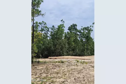 1225 Alene Drive, Alford, FL 32420 - Photo 2