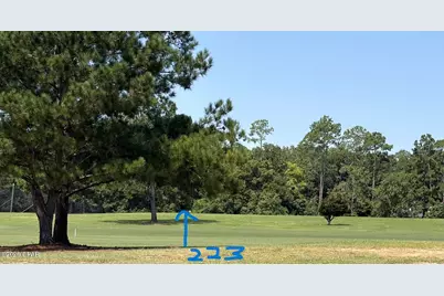 223 Country Club Drive, Havana, FL 32333 - Photo 30