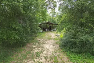1838 Pettis Rd, Chipley, FL 32428 - Photo 16