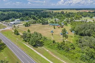 6073 Devorak Dr, Marianna, FL 32446 - Photo 56