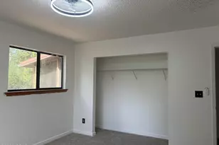 1029 Putnam Ave, Alford, FL 32420 - Photo 20