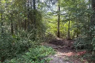 1029 Putnam Ave, Alford, FL 32420 - Photo 28