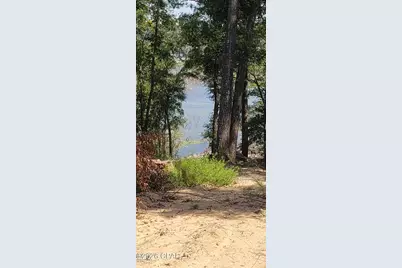 000 - 000 Woodymarion Drive #Lots 99 & 100, Chipley, FL 32428 - Photo 2