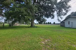 5081 8th Ave, Malone, FL 32445 - Photo 24