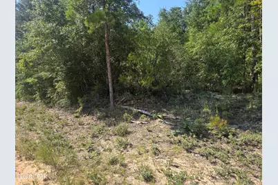 Lot 19 Dorcas Road, Marianna, FL 32448 - Photo 1