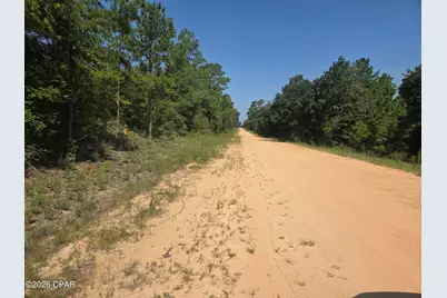 Lot 19 Dorcas Road, Marianna, FL 32448 - Photo 4