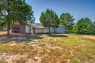 1718 Hwy 173, Graceville, FL 32440 - Photo 36