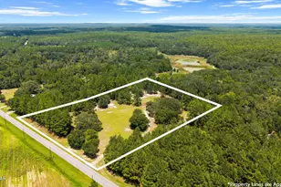 3875 River Rd, Vernon, FL 32462 - Photo 46