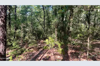 A Trawick Creek Road, Holt, FL 32564 - Photo 6