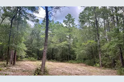 A Trawick Creek Road, Holt, FL 32564 - Photo 18
