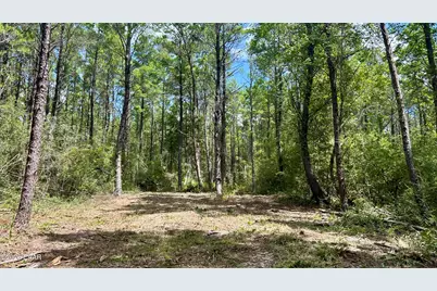 A Trawick Creek Road, Holt, FL 32564 - Photo 8