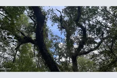 A Trawick Creek Road, Holt, FL 32564 - Photo 14