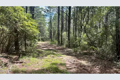A Trawick Creek Road, Holt, FL 32564 - Photo 26