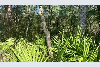 A Trawick Creek Road, Holt, FL 32564 - Photo 12