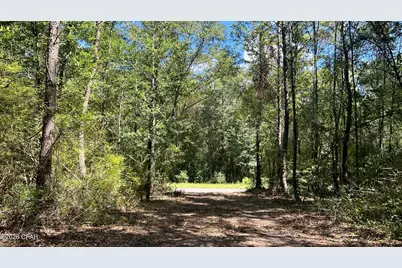 A Trawick Creek Road, Holt, FL 32564 - Photo 30
