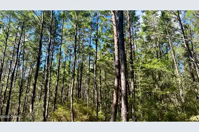 B Trawick Creek Road, Holt, FL 32564 - Photo 24