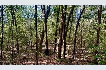 B Trawick Creek Road, Holt, FL 32564 - Photo 16