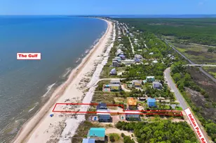 440 Indian Pass Rd, Port Saint Joe, FL 32456 - Photo 46