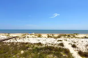 440 Indian Pass Rd, Port Saint Joe, FL 32456 - Photo 34