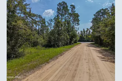 Tbd Hwy 231, Fountain, FL 32438 - Photo 12