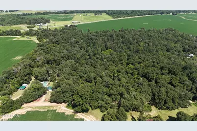 00 Conner Road, Grand Ridge, FL 32442 - Photo 1