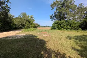 4803 Basswood Rd, Bascom, FL 32423 - Photo 36