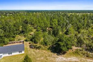 10511 Western Rd, Fountain, FL 32438 - Photo 36