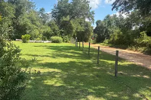 1227 Blackmon Rd, Alford, FL 32420 - Photo 6