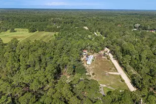 3601 Metcalf Rd, Vernon, FL 32462 - Photo 28
