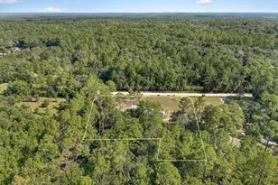 3601 Metcalf Rd, Vernon, FL 32462 - Photo 32